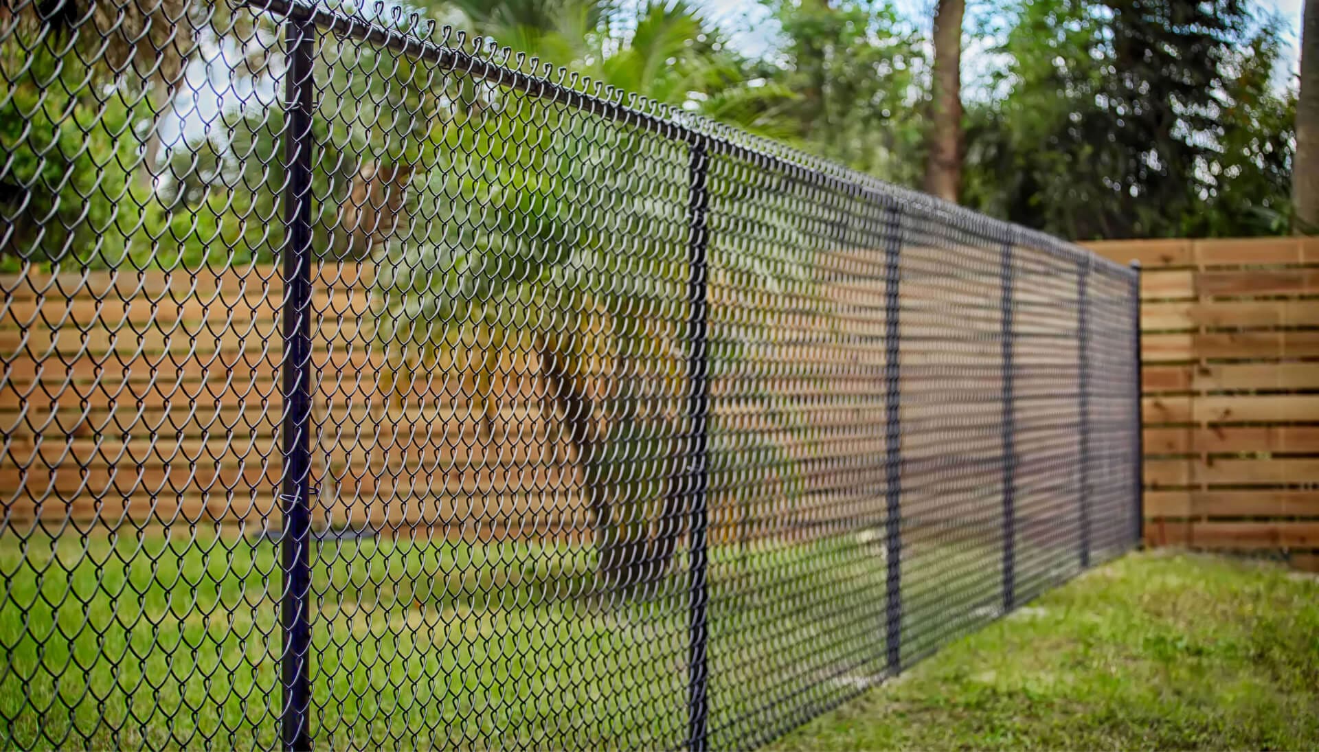 chain link fence installation services in Jackson